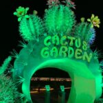 cactus-garden