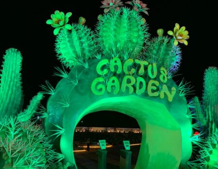 cactus-garden