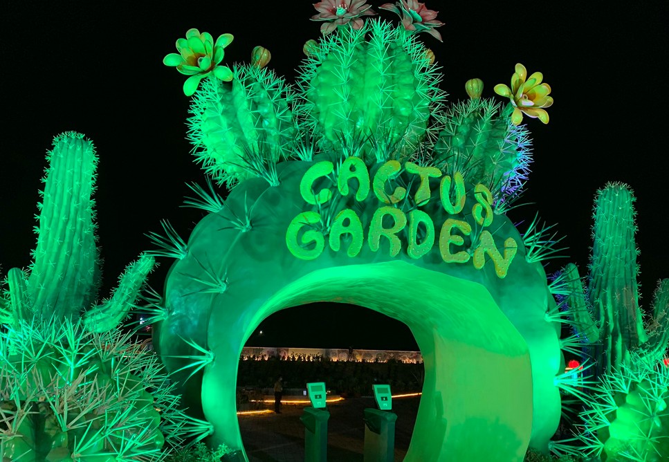 cactus-garden