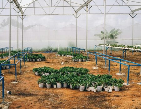horticulture