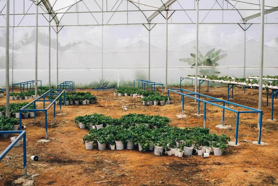 horticulture