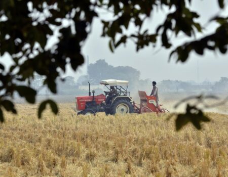 punjab-crop-wikimedia