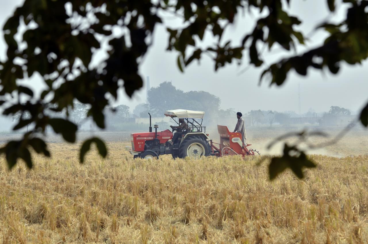 punjab-crop-wikimedia