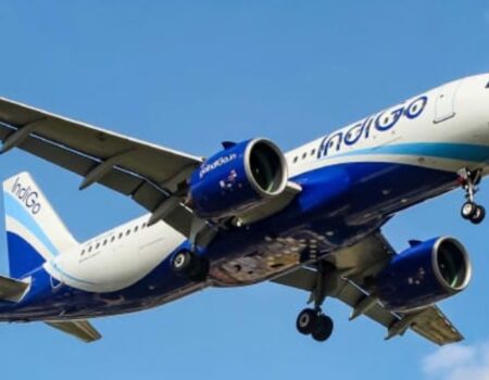 indigo