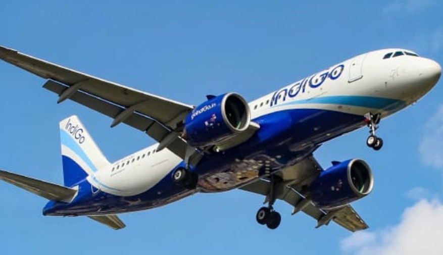 indigo