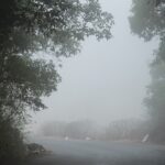 rain