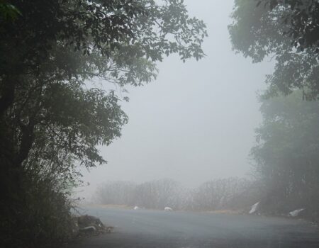 rain