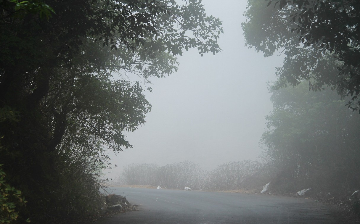 rain
