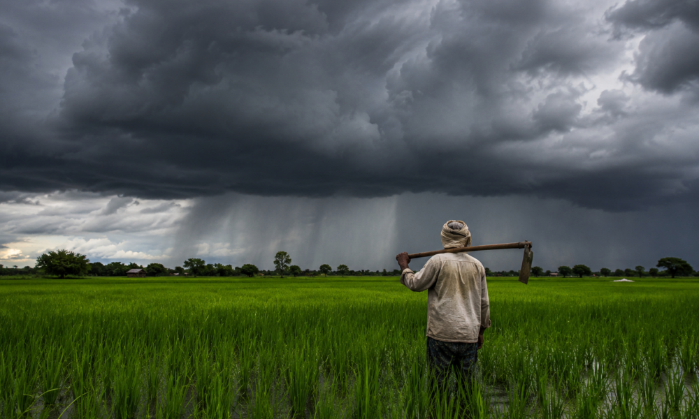 monsoon-india