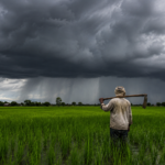 monsoon-india