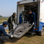 dolphin-rescue