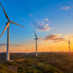 gujarat-wind-energy